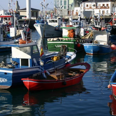 Boats Luarca