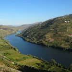 Photo of vineyards in the Douro Valley
