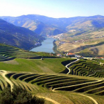 Photo of the Douro Valley