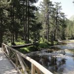 Photo of accessible walk Aigüestortes i Estany de Sant Maurici National Park