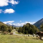 Aigüestortes i Estany de Sant Maurici National Park