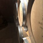 Photo of Mas Sinen barrels Priorat