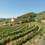 Priorat Vineyards