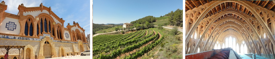 Catalan wine regions